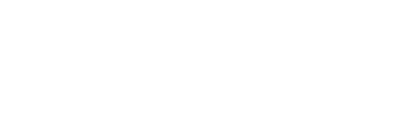 Shopify Plus Partner