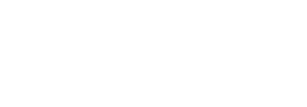 Woo Platinum Certified WooExpert